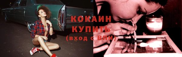 прущая мука Каменка