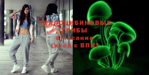 молекула духа Касимов