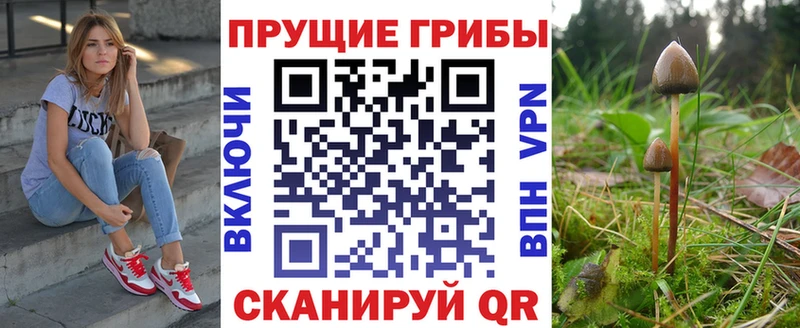Купить закладки  Белая Калитва  Галлюциногенные грибы мицелий 
